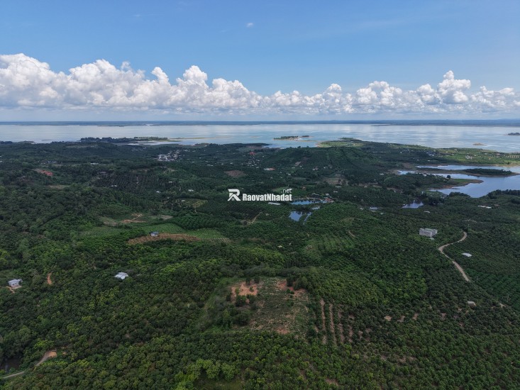 Đất Đẹp La Ngà – Sổ Riêng, View Chill, Đường Ô Tô – Chính Chủ Sang Nhượng